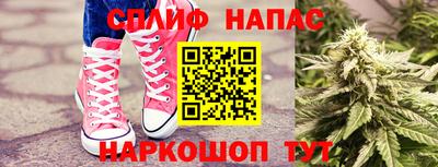 стаф Шебекино