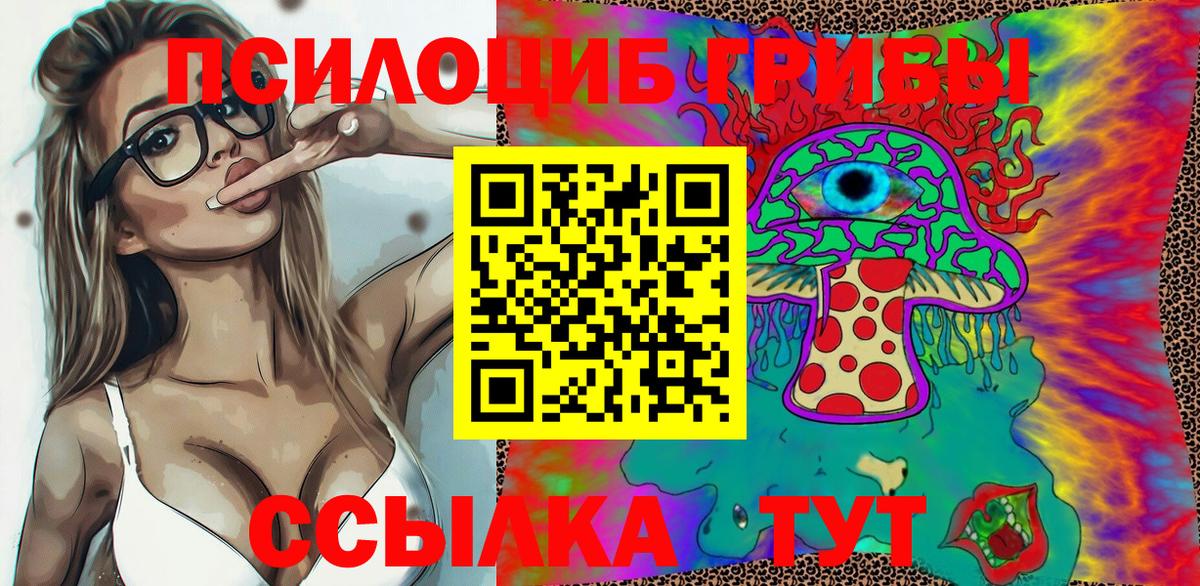 Михайловка  Псилоцибиновые грибы GOLDEN TEACHER  Вход с VPN  Псилоцибиновые грибы ЛСД 