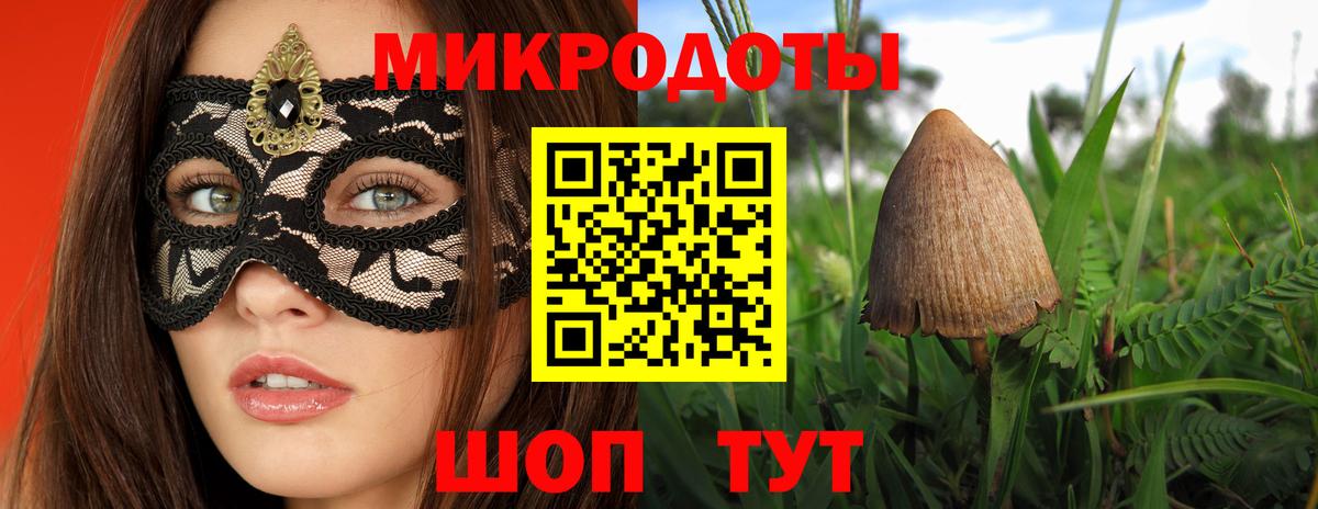 Галлюциногенные грибы Cubensis Михайловка